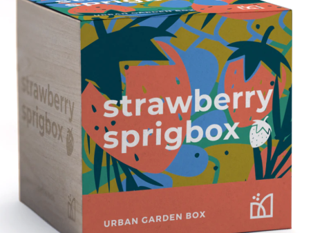 Sprigbox Grow Kit – Strawberry Online Hot Sale