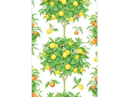 Caspari Citrus Topiaries Paper Guest Towel Napkins - 15 Pk For Discount