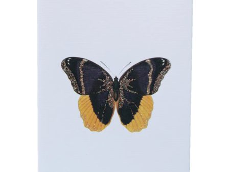 Butterfly Glitter Greeting Card – 3.5  x 5  Cheap