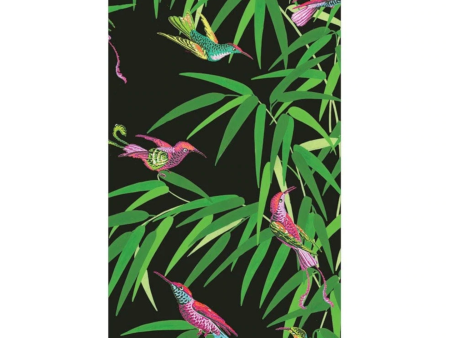 Caspari Birds in Paradise Black Guest Towels - 15pk For Cheap